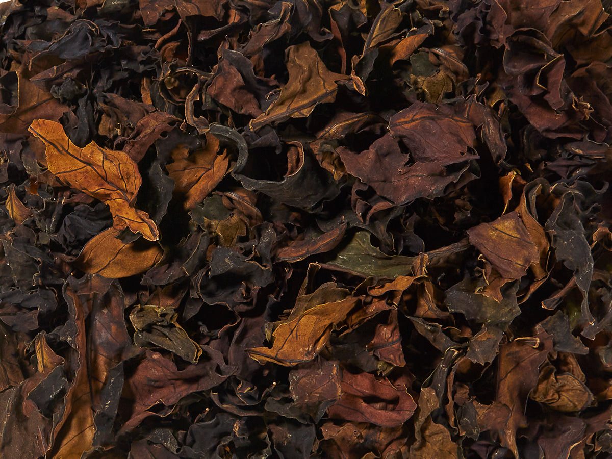 Bourbon Natural organic coffee leaf tisane from Tanzania with whole dried coffee leaves