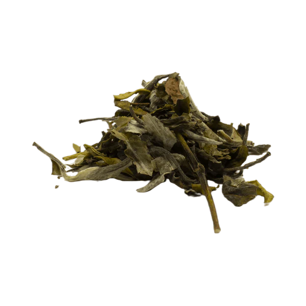 Pai Mu Tan loose-leaf Chinese white tea with soft green leaves and delicate silvery buds by Lunula Tea.