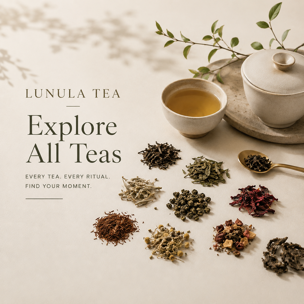 Selection of loose leaf teas in different colours and textures