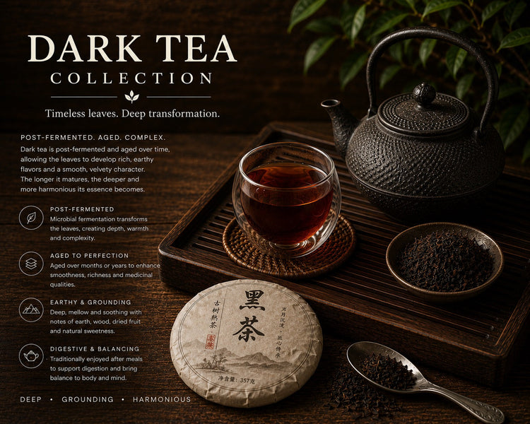 Dark Tea Collection