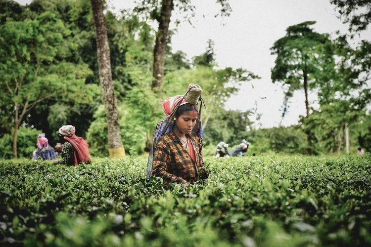 EIGHTY DEGREES MAGAZINE - ISSUE 15 RRP €27