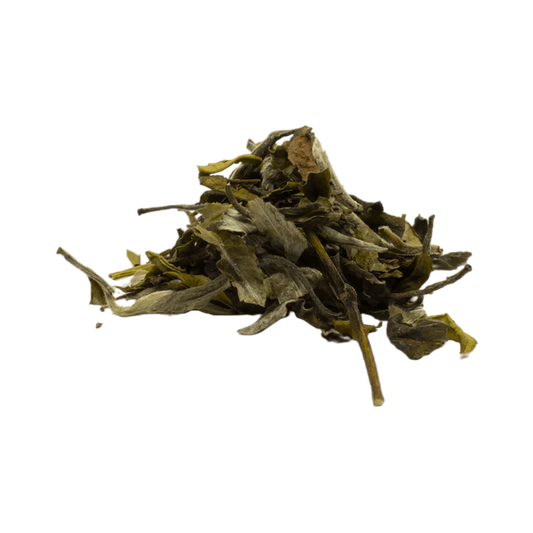 Pai Mu Tan loose-leaf Chinese white tea with soft green leaves and delicate silvery buds by Lunula Tea.