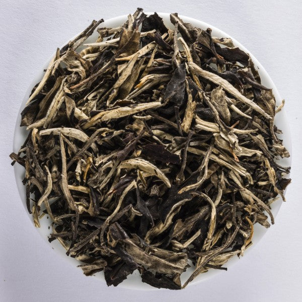 Yunnan Silver Moonlight loose-leaf white tea with silvery buds and dark softly twisted leaves by Lunula Tea.