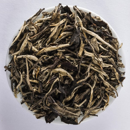 Yunnan Silver Moonlight loose-leaf white tea with silvery buds and dark softly twisted leaves by Lunula Tea.